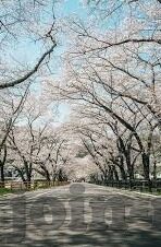 杏彩注册登录了平台-杏彩注册登录平台的便捷与安全性